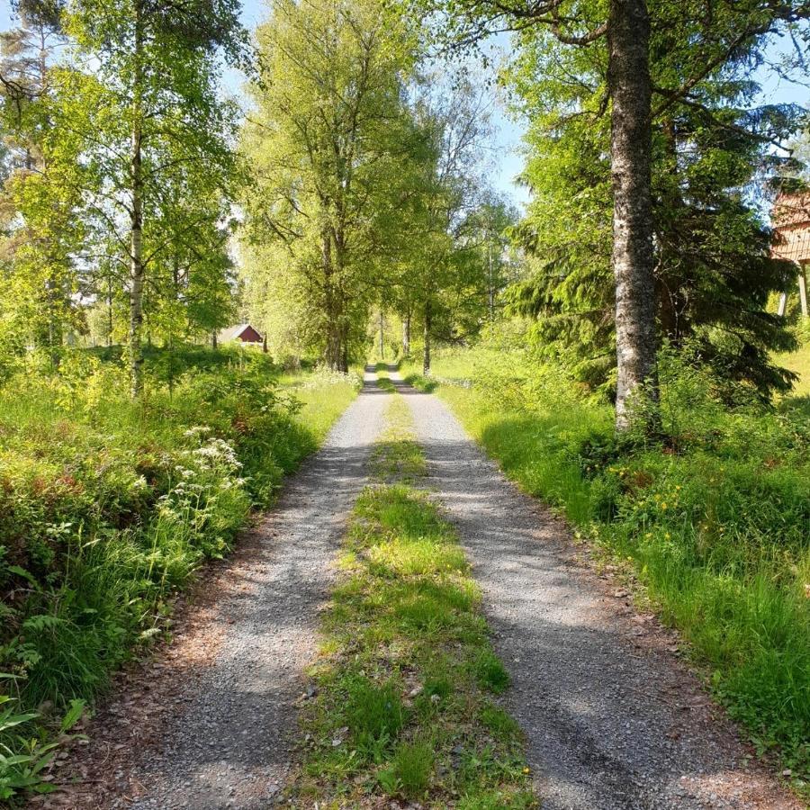 Cabin Near Lake And Beautiful Nature Reserve. Bodafors Екстер'єр фото